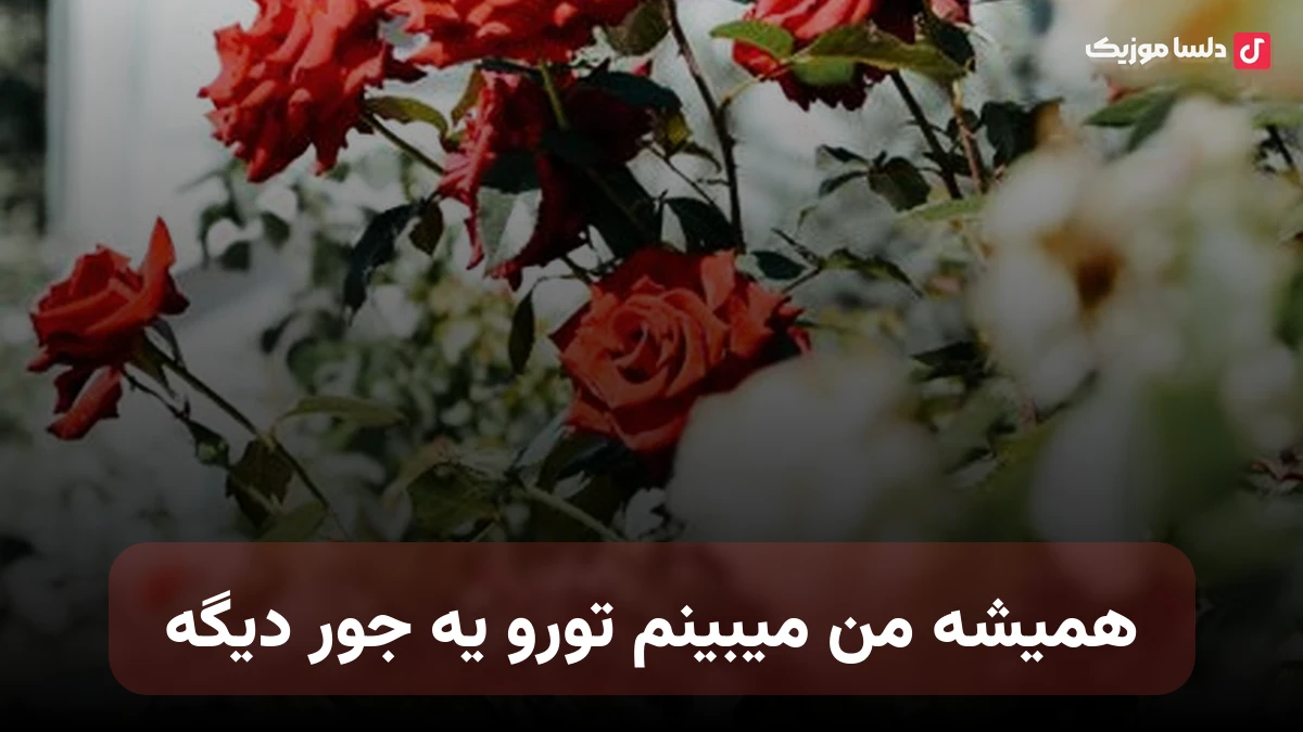 همیشه من میبینم تورو یه جور دیگه صدای زن